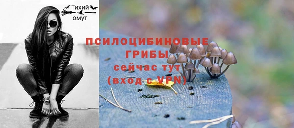 дживик Дмитровск