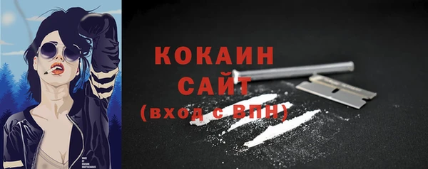 метадон Гусь-Хрустальный