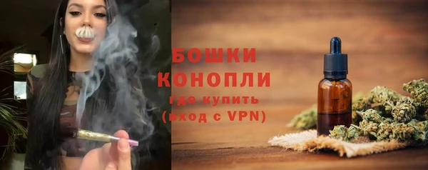 метадон Гусь-Хрустальный