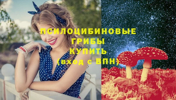дживик Дмитровск