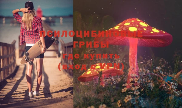 дживик Дмитровск