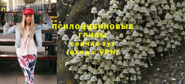 метадон Гусиноозёрск
