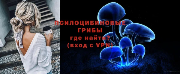 дживик Дмитровск