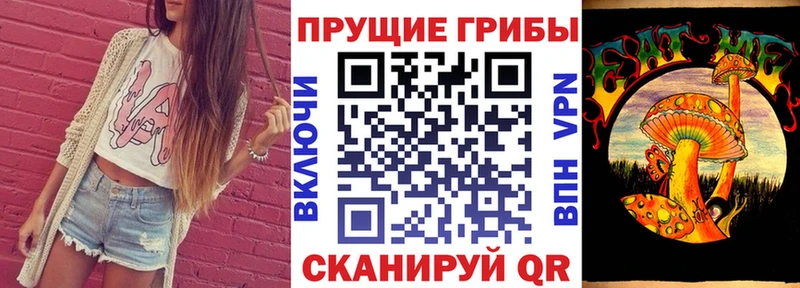 Галлюциногенные грибы Psilocybe  Архангельск 